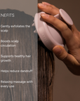 Scalp Brush